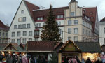 Рождественская елка появится на Ратушной площади уже сегодня