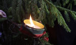 Свеча первого Адвента зажглась на неустойчивой таллинской ели